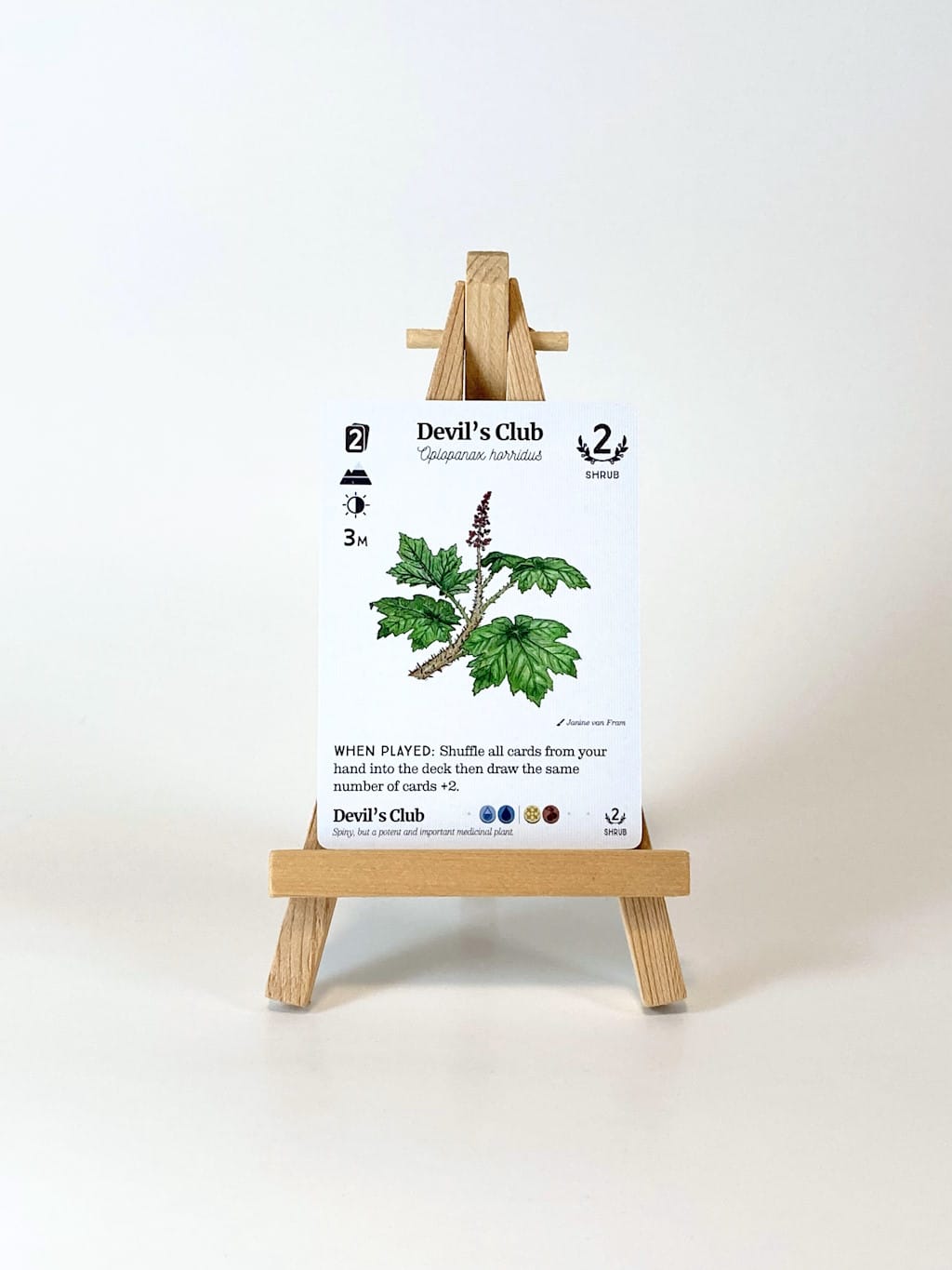 Reforest: Plants of the Pacific Northwest Coast (EN) JEUX - Famille