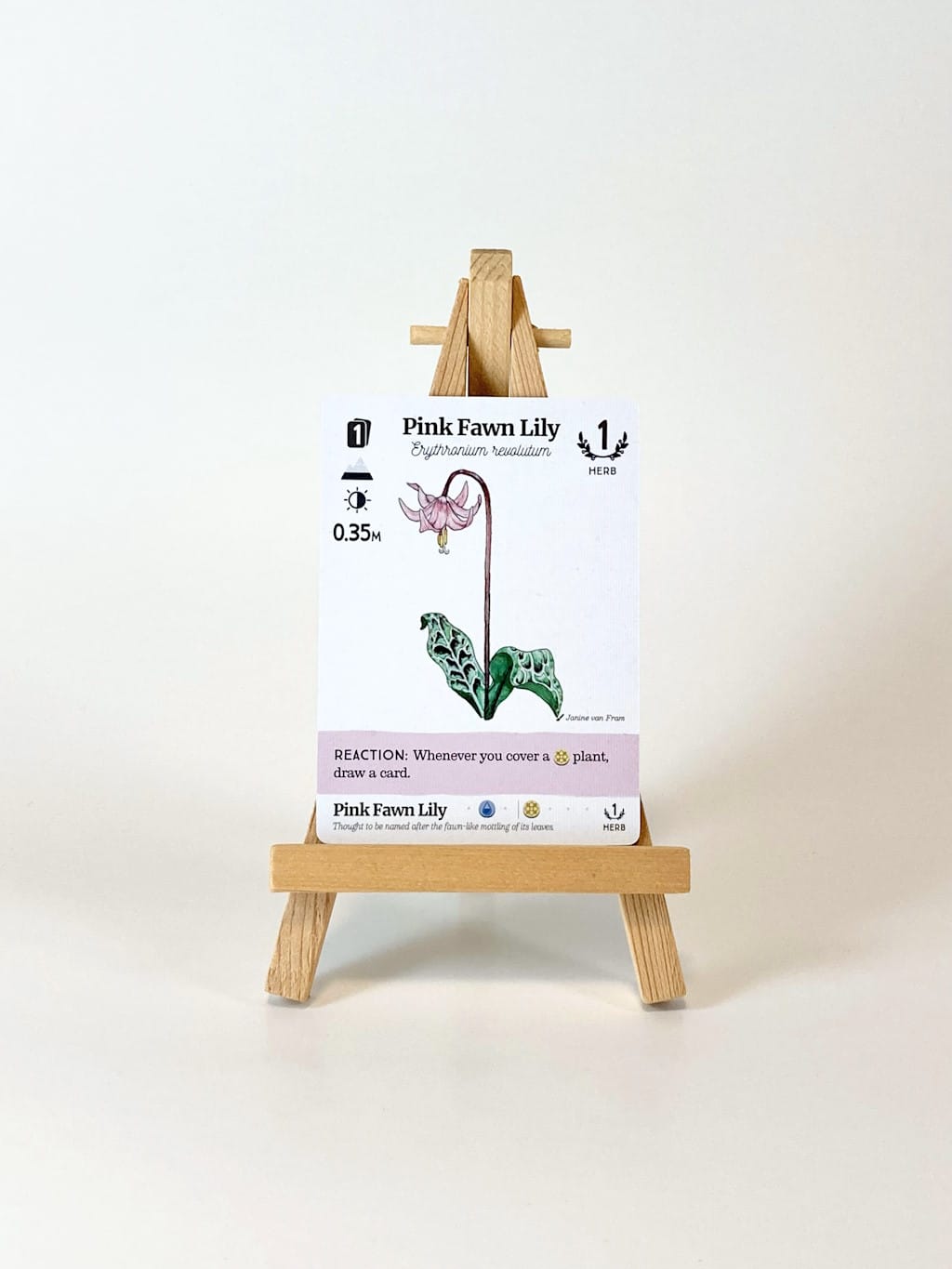 Reforest: Plants of the Pacific Northwest Coast (EN) JEUX - Famille
