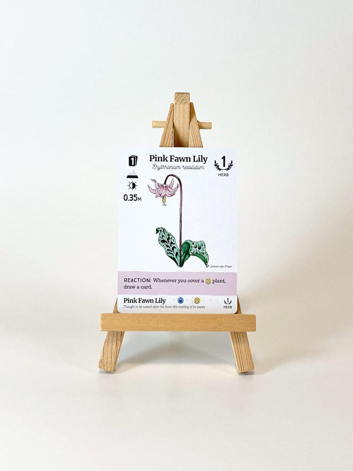 Reforest: Plants of the Pacific Northwest Coast (EN) JEUX - Famille