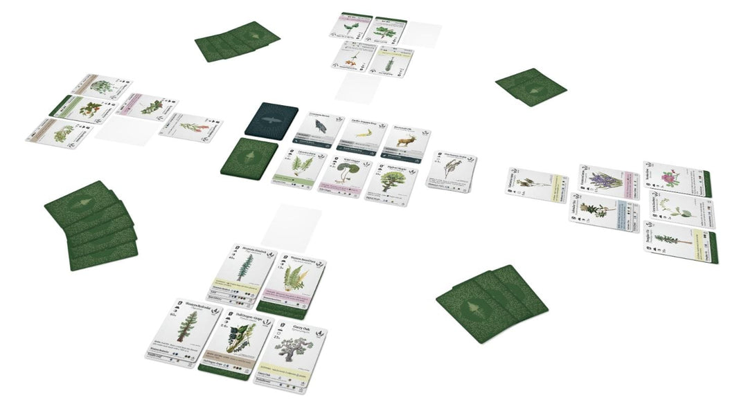 Reforest: Plants of the Pacific Northwest Coast (EN) JEUX - Famille