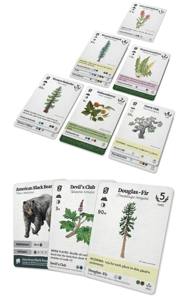 Reforest: Plants of the Pacific Northwest Coast (EN) JEUX - Famille
