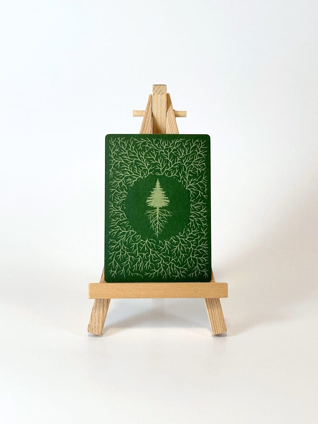 Reforest: Plants of the Pacific Northwest Coast (EN) JEUX - Famille