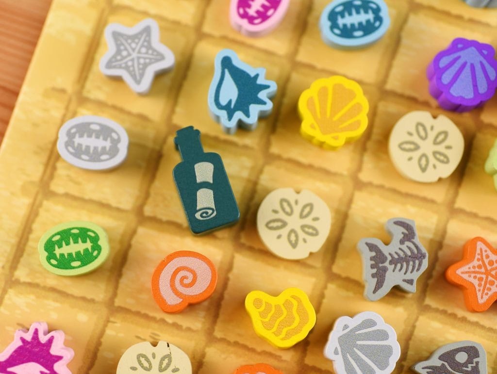 Seashells (EN) JEUX - Famille