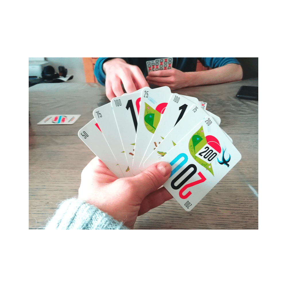 Mille Bornes (ML)