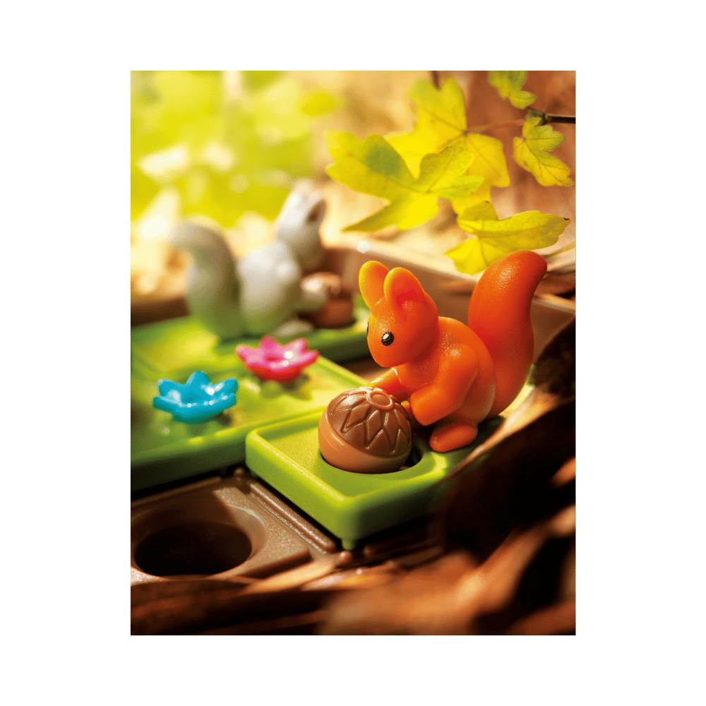 Squirrels Go Nuts! (ML) JEUX - Enfants
