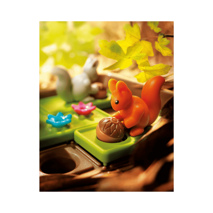 Squirrels Go Nuts! (ML) JEUX - Enfants