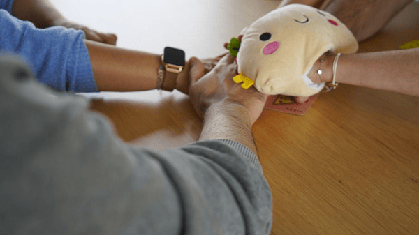 Taco Peluche Poulet Poutine Pizza (FR) JEUX - Famille