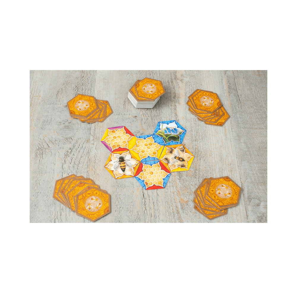 The Bears and the Bees (EN) JEUX - Famille