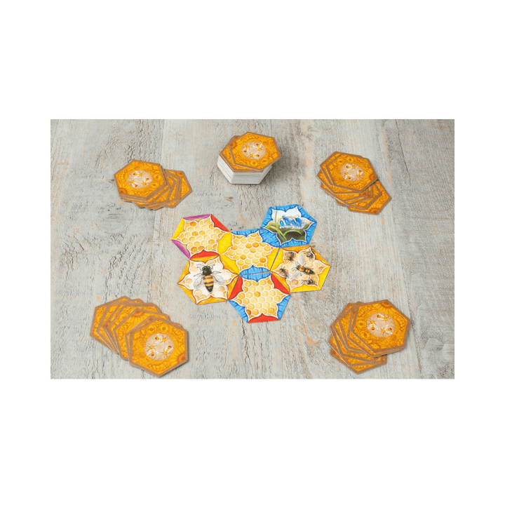 The Bears and the Bees (EN) JEUX - Famille