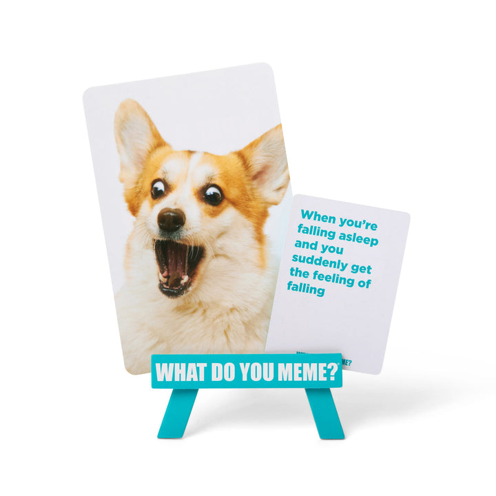 What do you Meme? Family Edition (EN) JEUX - Ambiance-Party