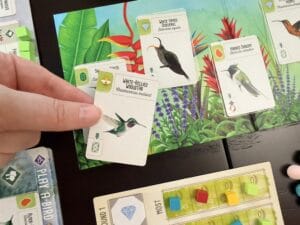 Wingspan: Americas Exp. (EN) JEUX - Stratégie - Stratégie intermédiaire