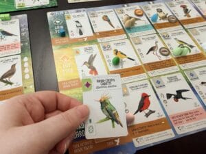 Wingspan: Americas Exp. (EN) JEUX - Stratégie - Stratégie intermédiaire