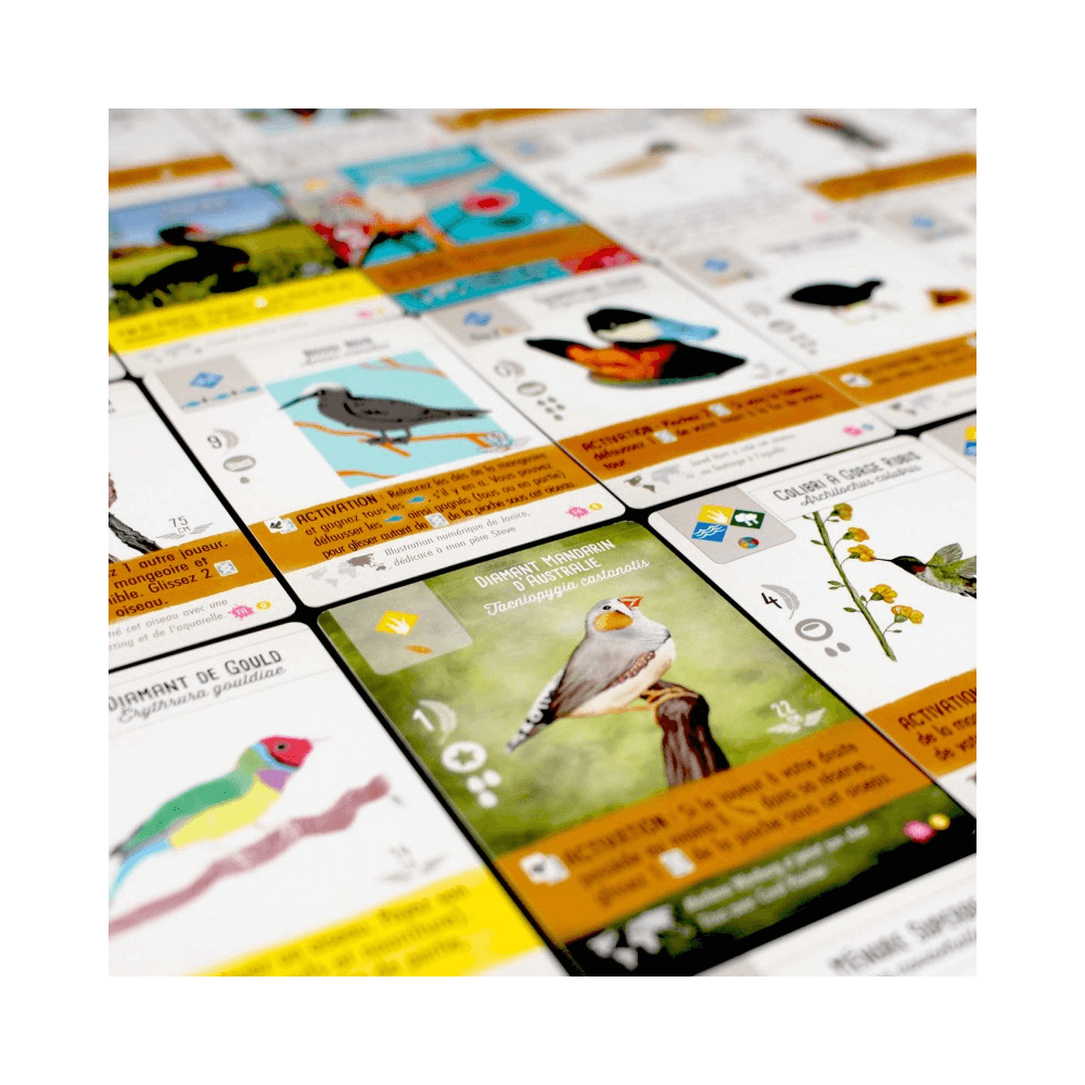 Wingspan: Fan Art Pack (FR) JEUX - Stratégie - Stratégie léger