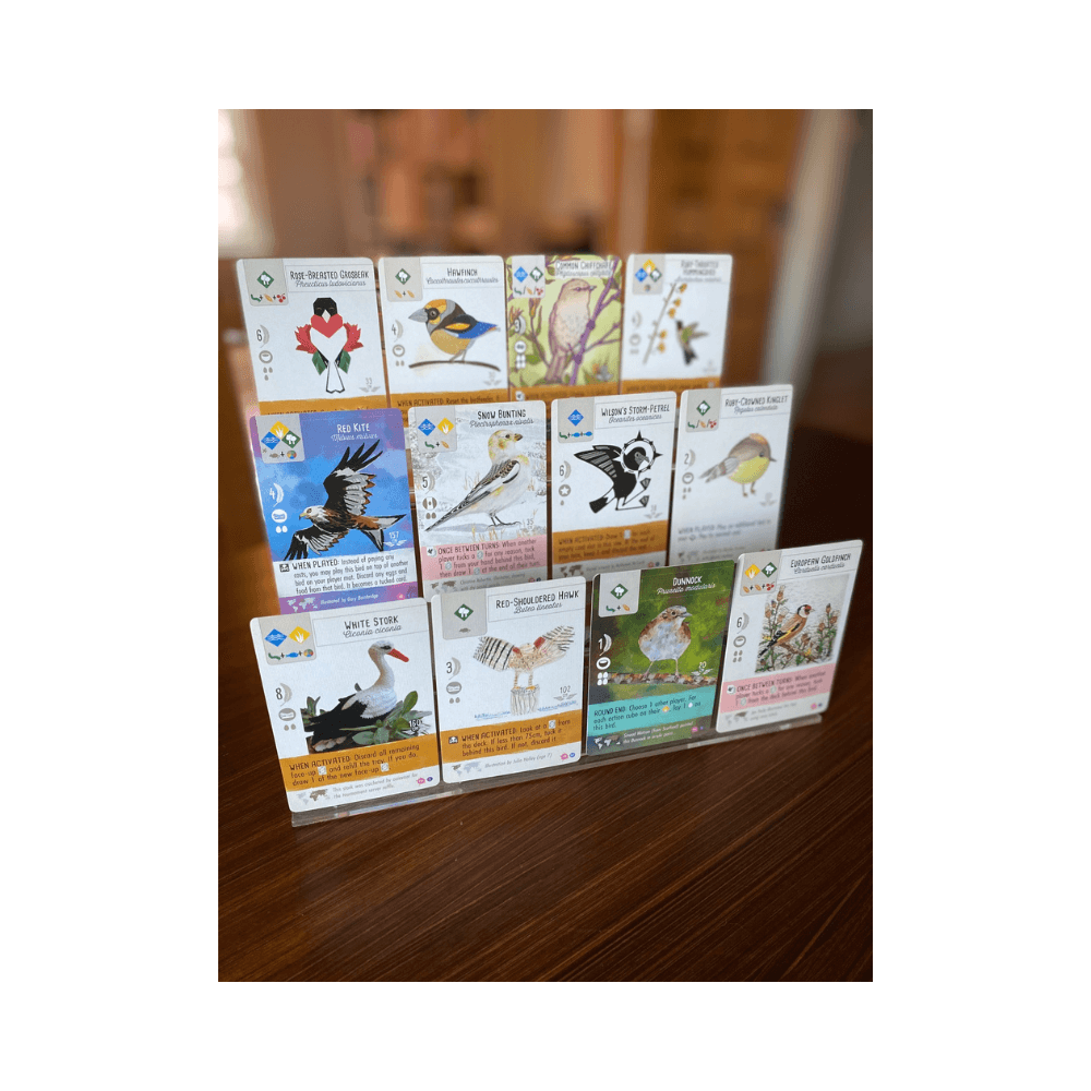 Wingspan: Fan Art Pack (FR) JEUX - Stratégie - Stratégie léger