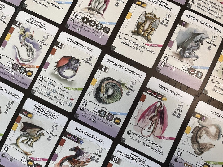 Wyrmspan Dragon Academy Expansion (EN) JEUX - Stratégie - Stratégie intermédiaire