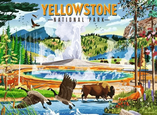 Yellowstone National Park (Puzzle 500 pcs) CASSE-TÊTE - 400 - 550 morceaux