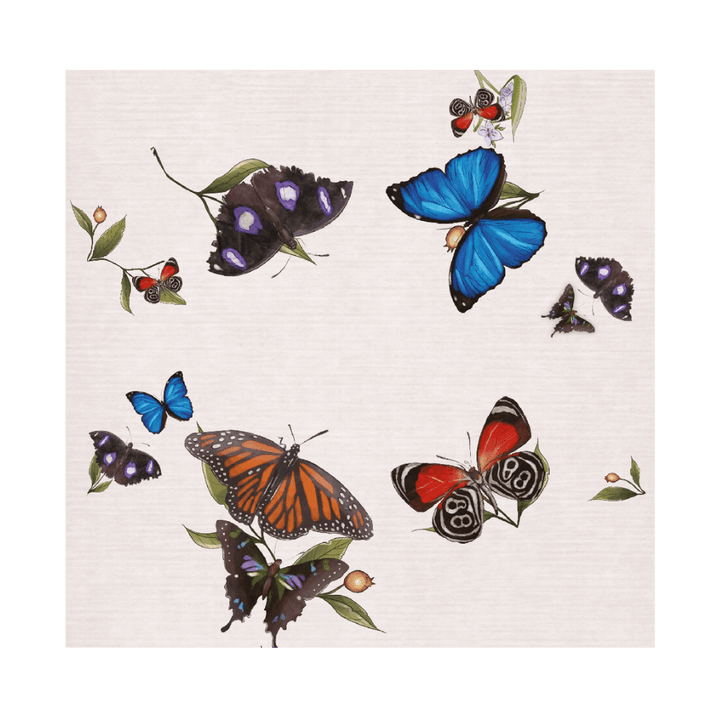 Papillons Célestes (FR)
