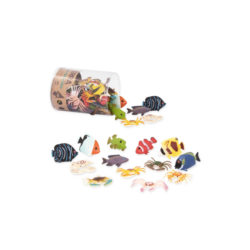 Terra - Poissons tropicaux en tube