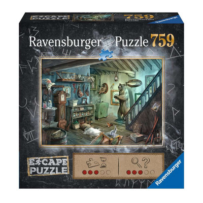 Puzzle 759: Forbidden Basement / Escape Puzzle