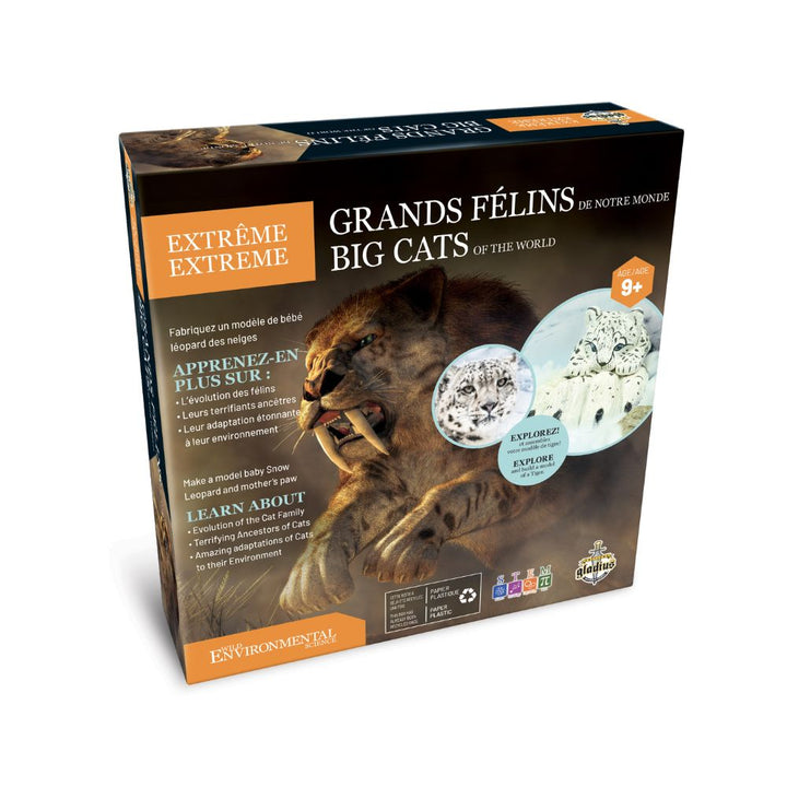 Ensemble de science : Grands félins extrêmes (ML)