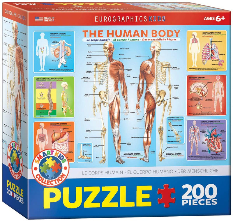 Puzzle 200: The Human Body