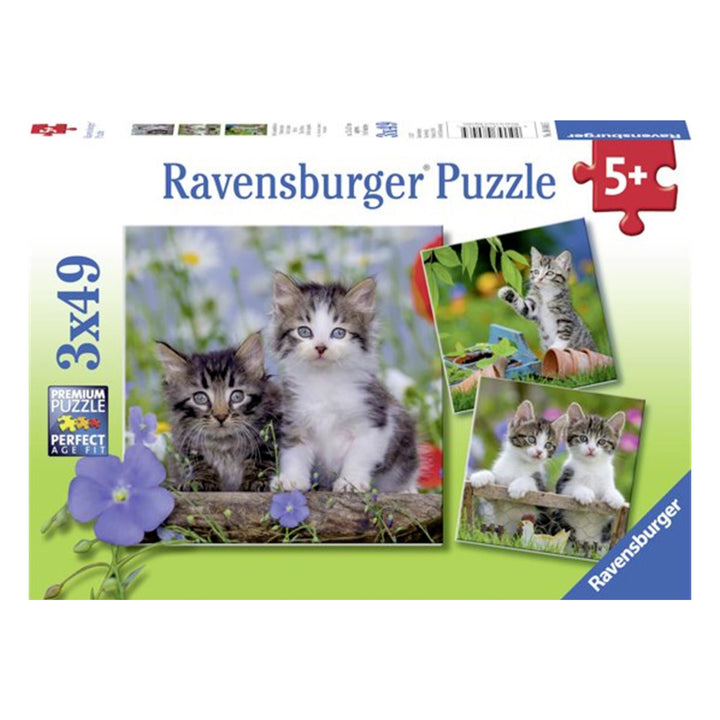 Chatons tigrés casse-tête Ravensburger Puzzle | L'As des Jeux