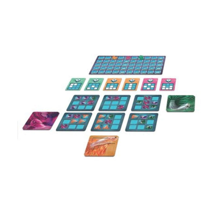Betta (ML) JEUX - Solo