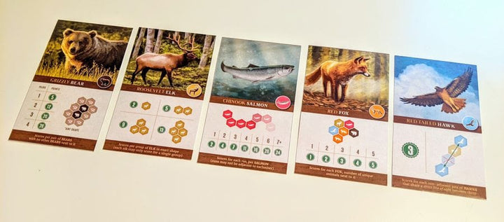 Cascadia (EN) JEUX - Famille