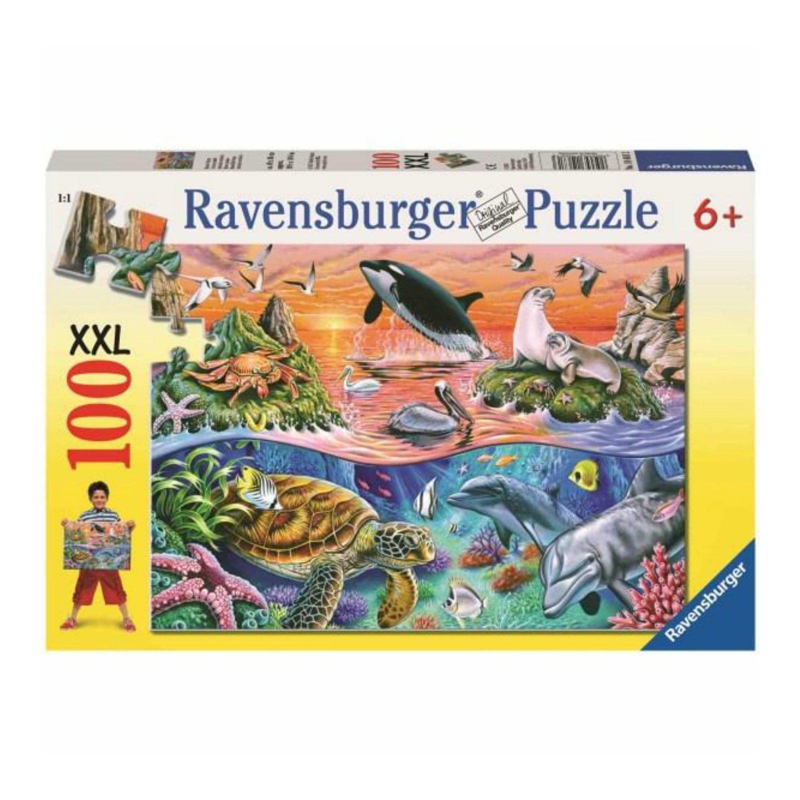 Puzzle 100: L'océan coloré CASSE-TÊTE - 100 - 150 morceaux