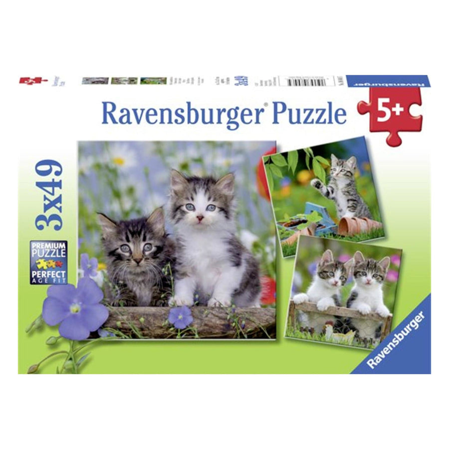 Puzzle 3 x 49: Chatons tigrés CASSE-TÊTE - 50 - 99 morceaux