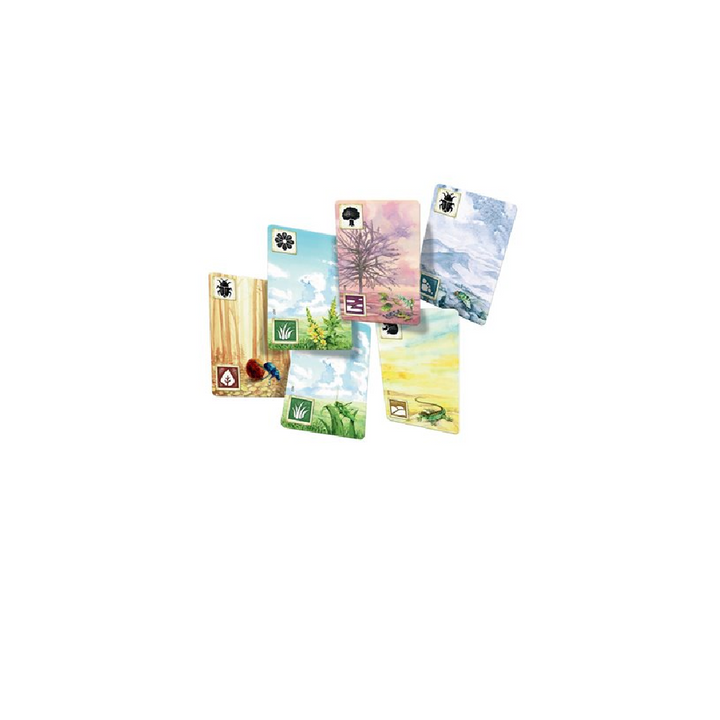 Meadow (ML)