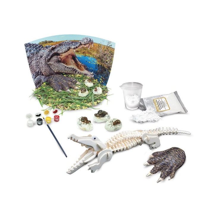 Ensemble de science : Crocodiles extrêmes (ML) PASSE-TEMPS - Science