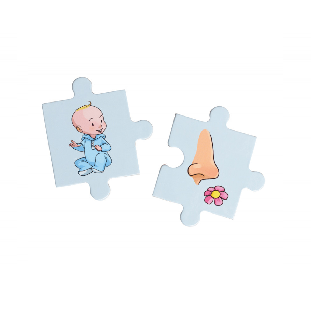 Sentence Jigsaw (EN) JEUX - Éducatif