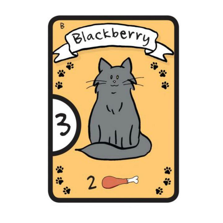 Cat Lady (EN) JEUX - Jeux de cartes