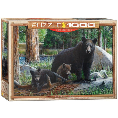 Puzzle 1000: New Discoveries by Kevin Daniel