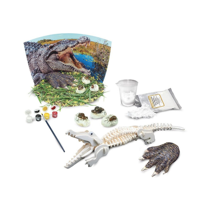 Ensemble de science : Crocodiles extrêmes (ML)