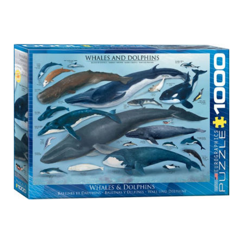 Puzzle 1000: Whales and Dolphins