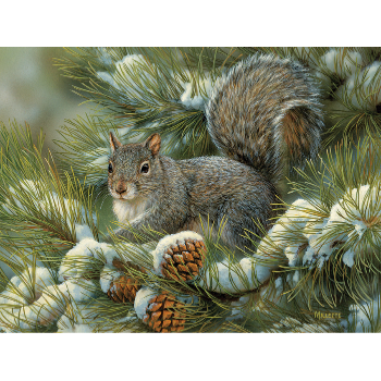 Puzzle 275: Gray Squirrel