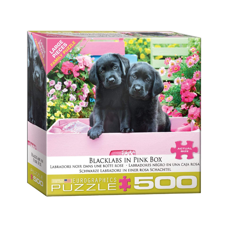 Puzzle 500: Black Labs in Pink Box